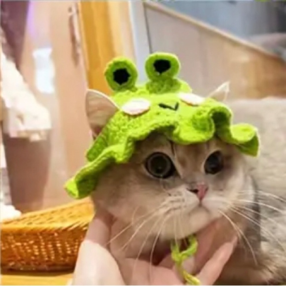 Crochet Green Frog Hat for Small Pets, Cat or Dog
